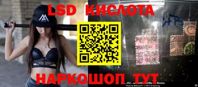 спиды Шахты