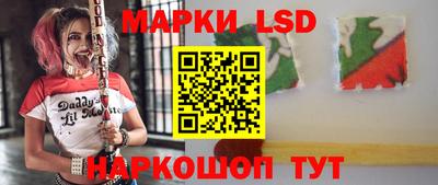 спиды Шахты
