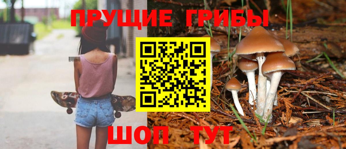 Галлюциногенные грибы ЛСД  Рассказово 