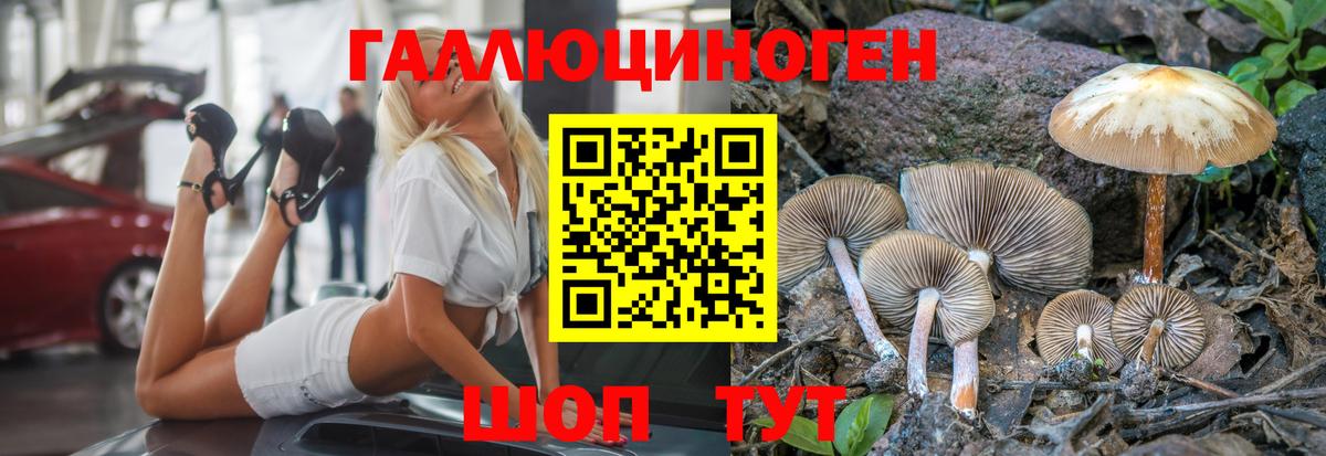 COCAIN  КЕТАМИН  МАРИХУАНА  Рассказово  Купить наркотики цена  ГАШИШ  МДМА  NBOMe  МЕФ кристаллы  Гашиш  Вход с VPN 