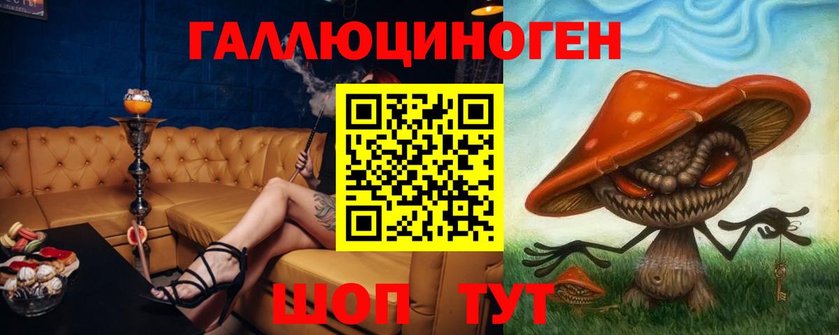 Галлюциногенные грибы Psilocybe Рассказово