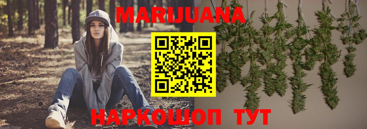 Каннабис ГИДРОПОН  Бошки Шишки White Widow  Рассказово  Вход с VPN 